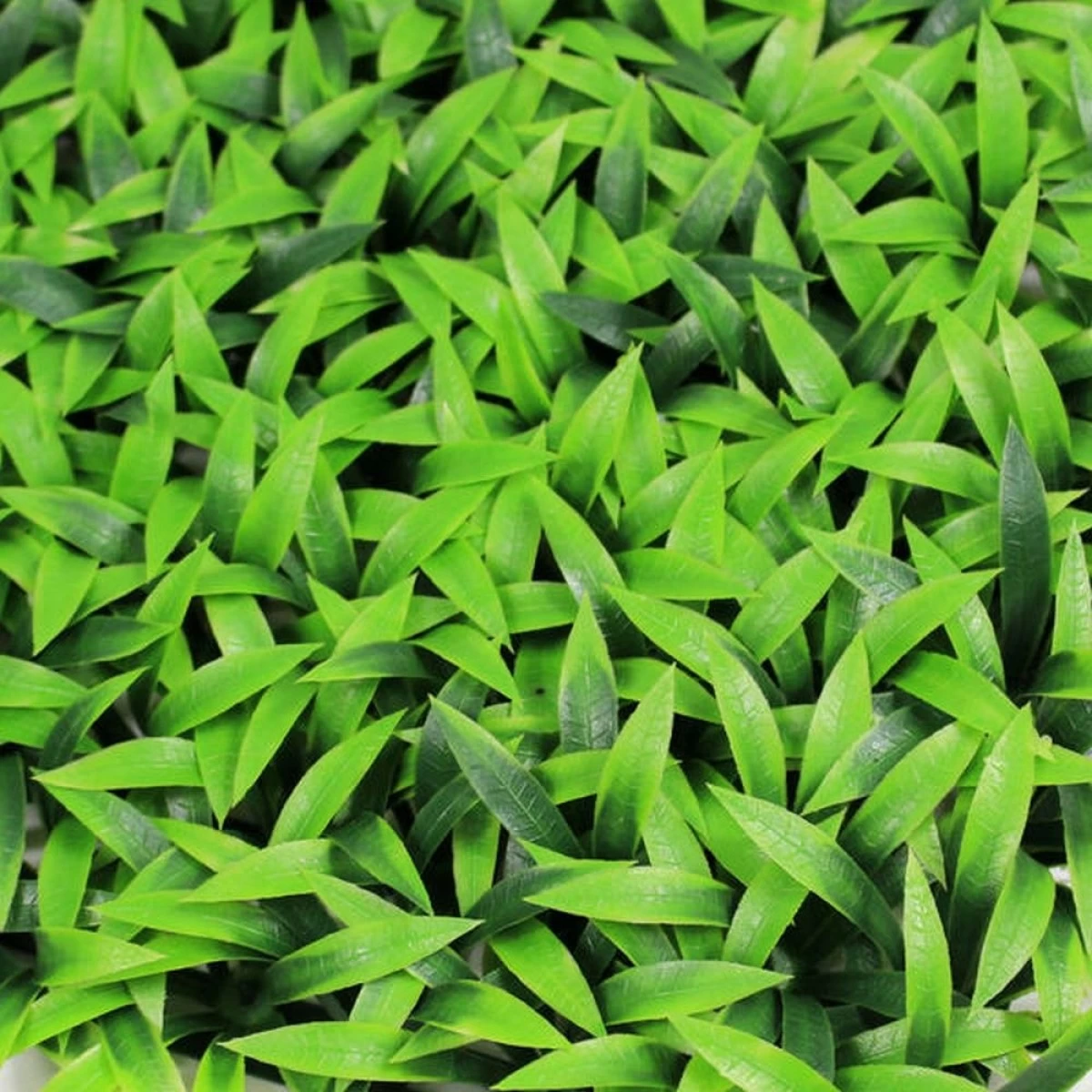 Jivana Bamboo Leaf Kunsthaag Per M² - Afbeelding 5