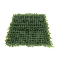 Jivana Ruscus Kunsthaag Per M²