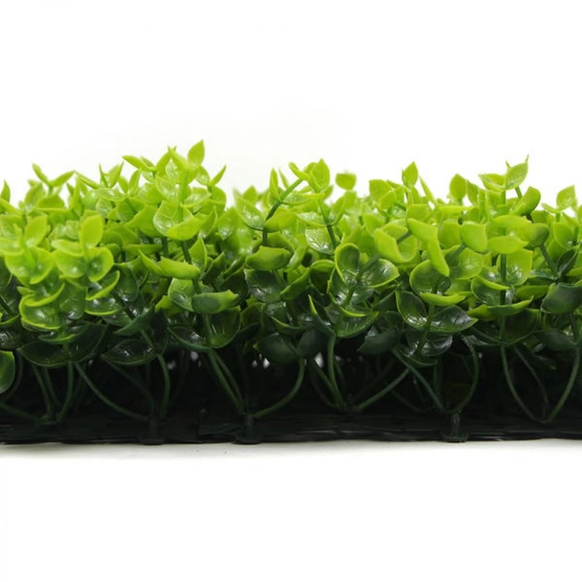 Jivana Spring Buxus Kunsthaag Per M² - Afbeelding 2