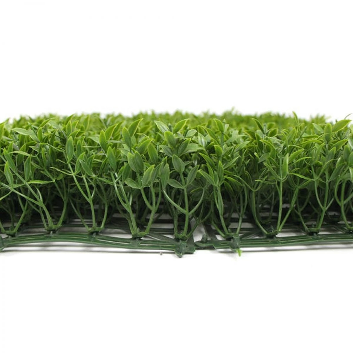 Jivana Ruscus Kunsthaag Per M² - Afbeelding 2