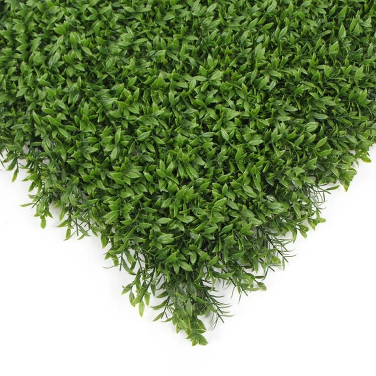 Jivana Ruscus Kunsthaag Per M² - Afbeelding 5