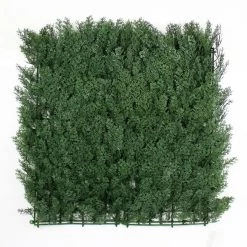 Jivana Arborvitae Kunsthaag Per M²