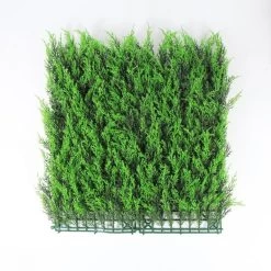 Jivana Cypres Kunsthaag Per M²