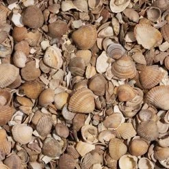 Gewassen Noordzeeschelpen Big Bag 1000 Kg