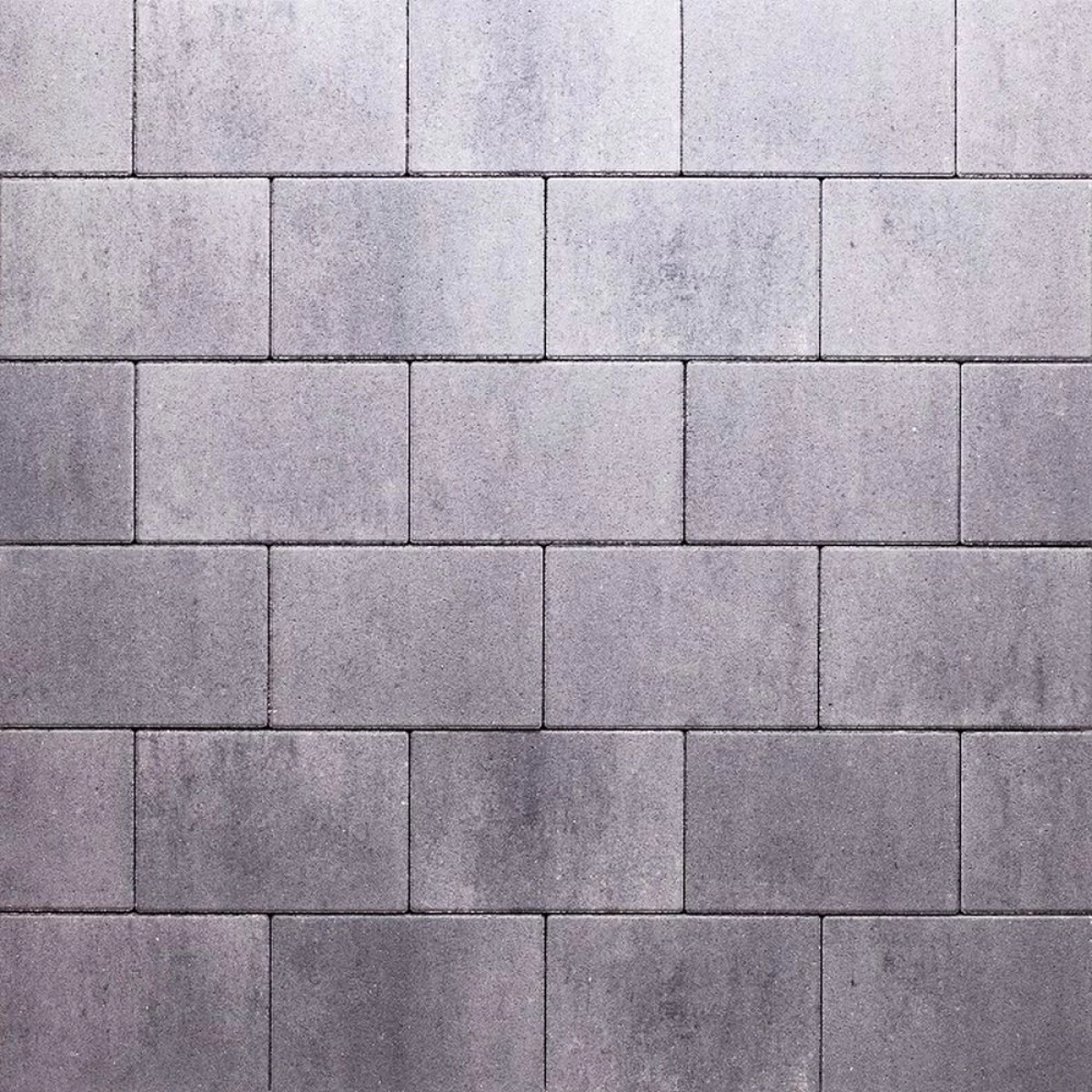 Redsun PREMITON LINEA Lanzarote