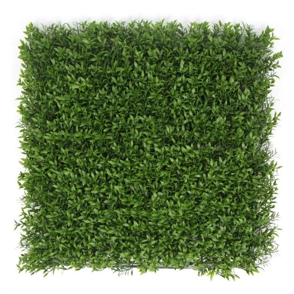 Jivana Ruscus Kunsthaag Per M² - Afbeelding 3