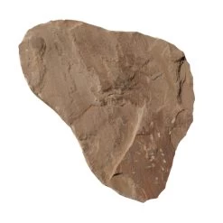 Staptegel Modak Beige Handgekapt 0.19-0.23 M² Per Stuk