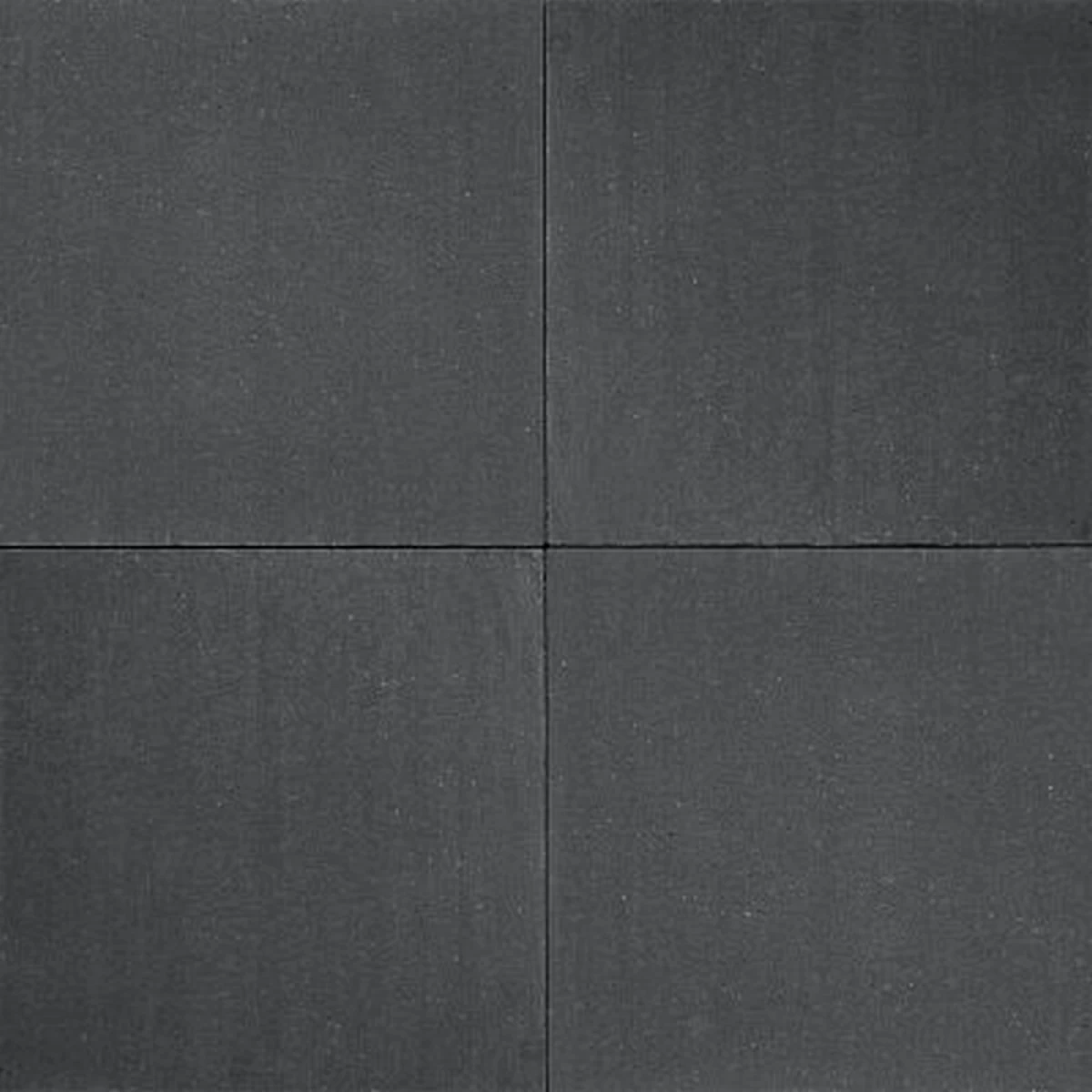 Redsun Trottoir Tuintegel Zwart 60x40x5cm PAL 11.52m²