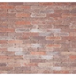 Betonklinker Damme Bont Getrommeld 21 X 6,8 X 6 Cm (per M²)