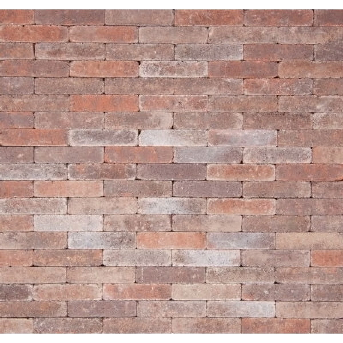 Betonklinker Damme Bont Getrommeld 21 X 6,8 X 6 Cm (per M²)